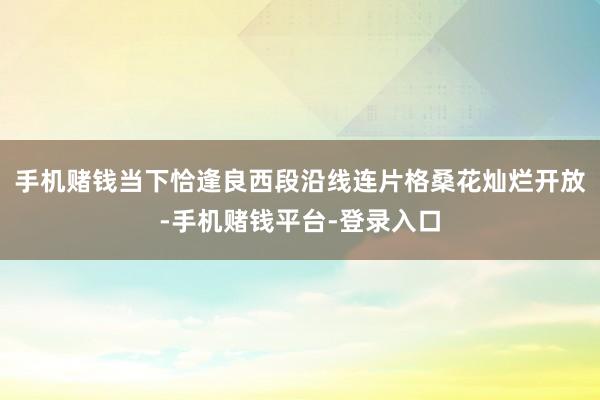 手机赌钱当下恰逢良西段沿线连片格桑花灿烂开放-手机赌钱平台-登录入口