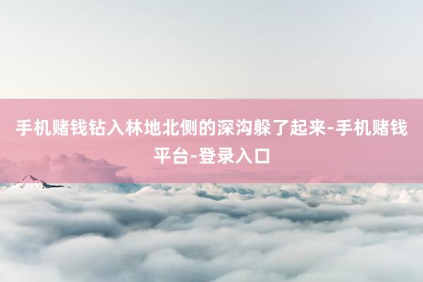 手机赌钱钻入林地北侧的深沟躲了起来-手机赌钱平台-登录入口
